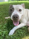 Pebbles 2021 - Photo 1