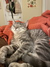 Obie