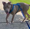 Jethro