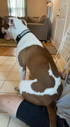 Samson - Photo 13