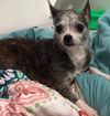 Zoey