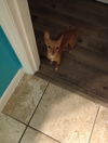 Itty Bitty