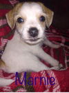 Marnie