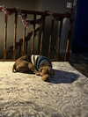 Goodfellow - Photo 3