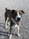 Colby - Photo 3