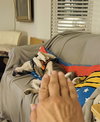 Colby - Photo 5