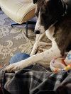Colby - Photo 6