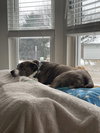 Colby - Photo 7