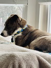 Colby - Photo 8
