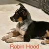 Robin Hood