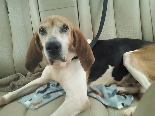 Jethro