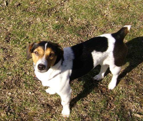 Patches