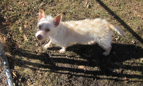 Duncan