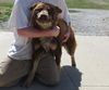 Jake** Helpe, I need a foster home, asap!**