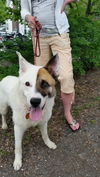 Dylan*I am GREAT with KIDS!!** I love kids!