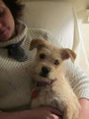 Gracie (formerly Lolly)