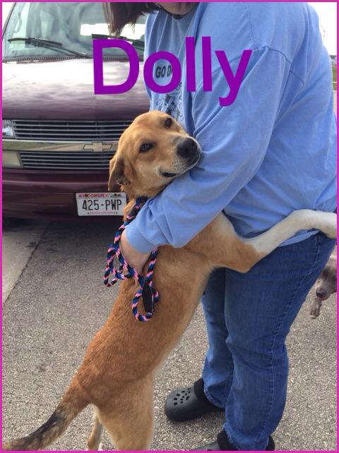 Dolly ** I am so sweet!**