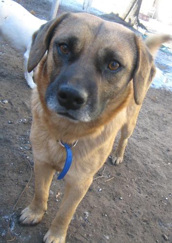 Dugan