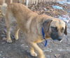 Dugan