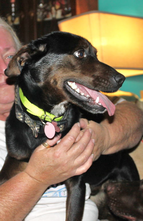 Dobey