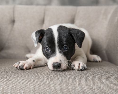 Patches *Pending adoption*