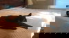 DJ (The Cat)