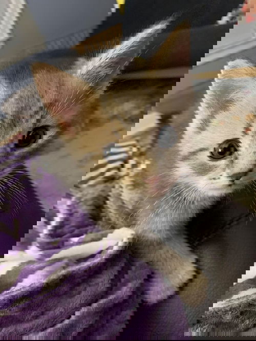 Sam