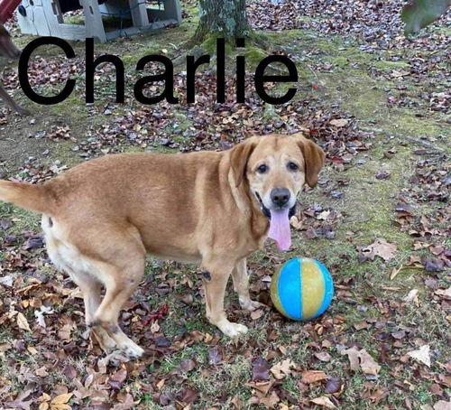 Charlie