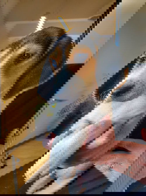 Julie