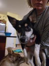 Puppy Ava *Sweet, smart puppy!*