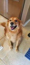 Mr. O'Malley