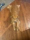 Mr. O'Malley