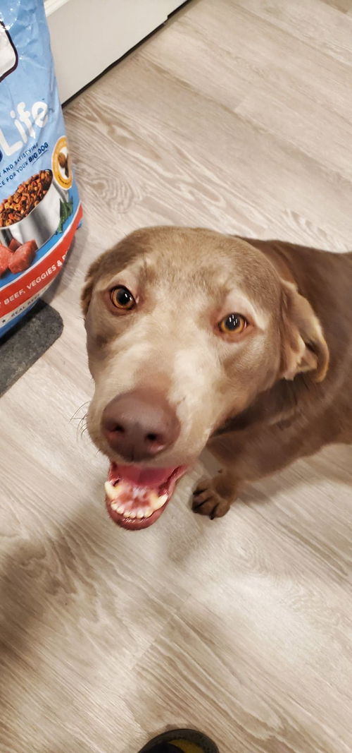 Ellie