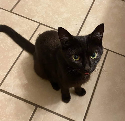 Ember