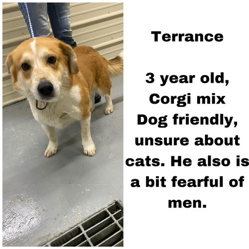 Terrance