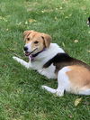 Lilah