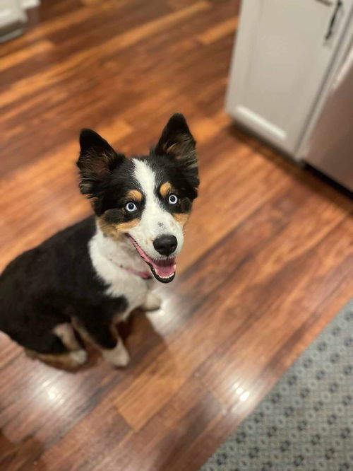 Bella