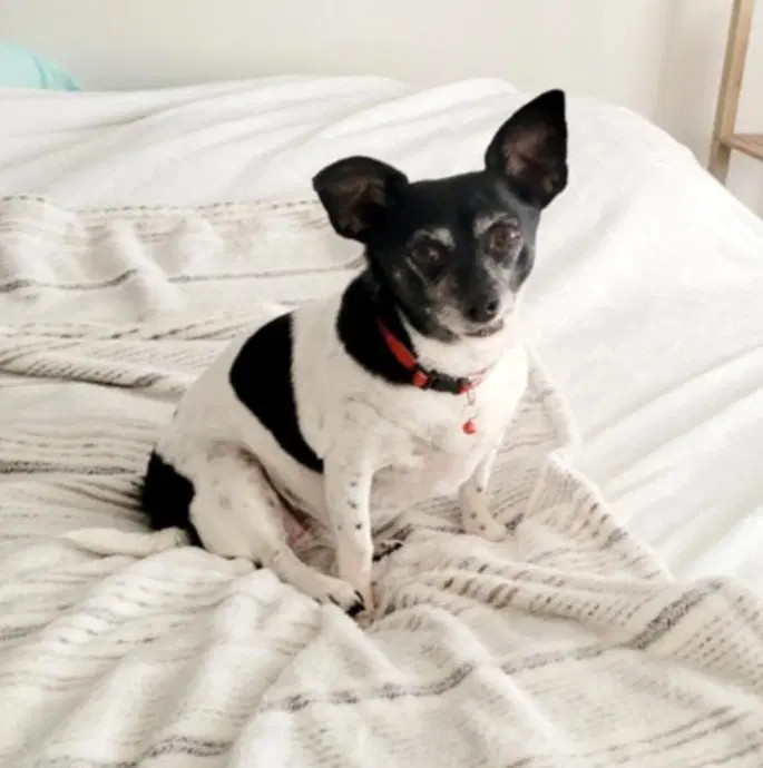 Maddie image 2