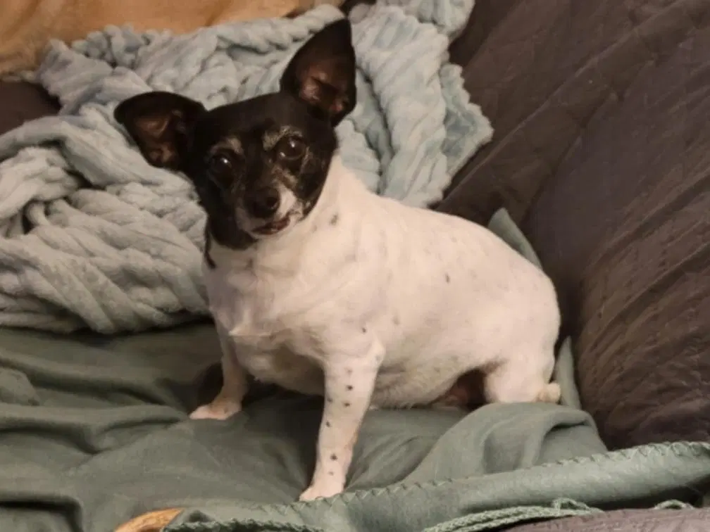 Maddie image 3