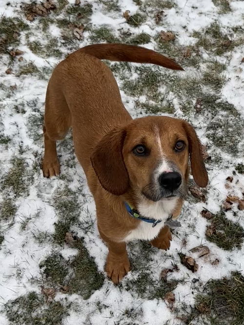 Benny