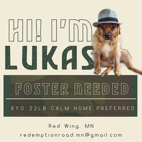 Lukas *FOSTER HOME NEEDED*