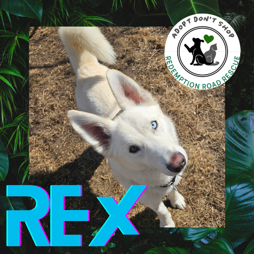 Rex