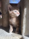 Marvin