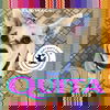 Quita