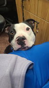 Vinny