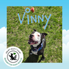 Vinny