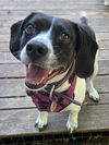 Ella *NEW ARRIVAL*
