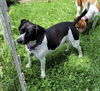 Ella *NEW ARRIVAL*