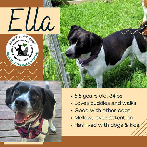 Ella *NEW ARRIVAL*