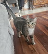Woody - Photo 1